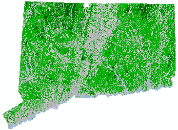 CT 2006 Forest Cover