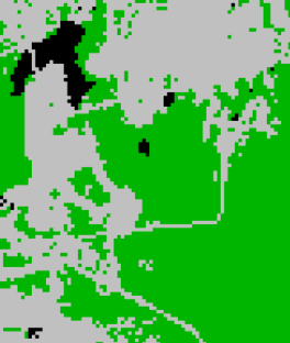 Forest Cover