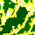 Forest Fragmentation