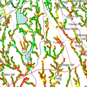 Riparian Zone graphic
