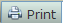 Print button