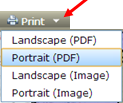 Print Options