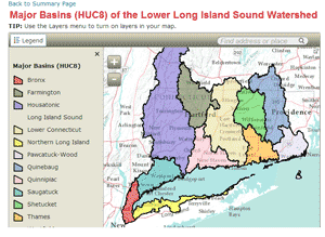 Interactive Map