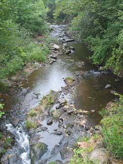 Stream