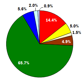 2006, 100ft zone, statewide pie