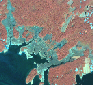 Barn Island Quickbird Image