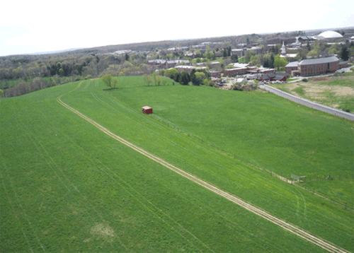 Horsebarn Hill cool season grassland