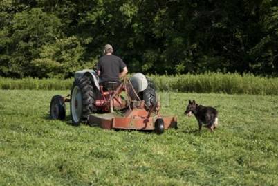 Mowing