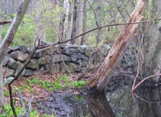 stone wall